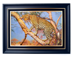 Leopard in a Tree – Somchai | 150 x 100 cm