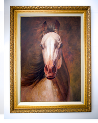 Horse – Somchai | 100 x 130 cm