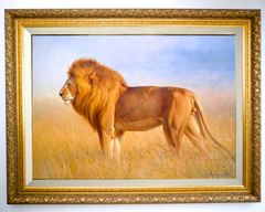 Lion in the Savannah – Somchai | 150 x 100 cm