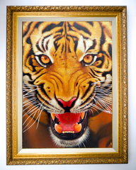 The Strength of the Tiger - Ketwalin | 95 x 105 cm