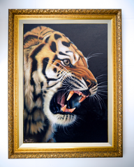 Power of Tiger - Ketwalin | 50 x 70 cm