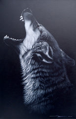 Howling Wolf – Jitaree | 40 x 60 cm