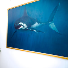 Shark – Somchai | 150 x 200 cm