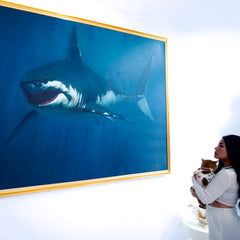 Shark – Somchai | 150 x 200 cm