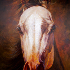 Horse – Somchai | 100 x 130 cm