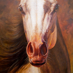 Horse – Somchai | 100 x 130 cm