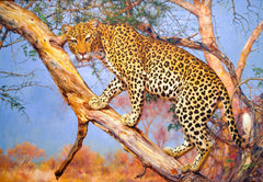 Leopard in a Tree – Somchai | 150 x 100 cm