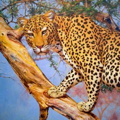 Leopard in a Tree – Somchai | 150 x 100 cm