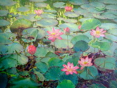 Water Lilies – Somchai | 200 x 150 cm