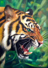 Tiger with Green Eyes - Ketwalin | 50 x 70 cm