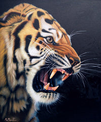 Power of Tiger - Ketwalin | 50 x 70 cm