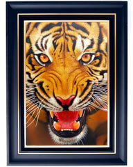 The Strength of the Tiger - Ketwalin | 95 x 105 cm