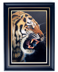 Power of Tiger - Ketwalin | 50 x 70 cm