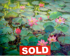 Water Lilies – Somchai | 200 x 150 cm